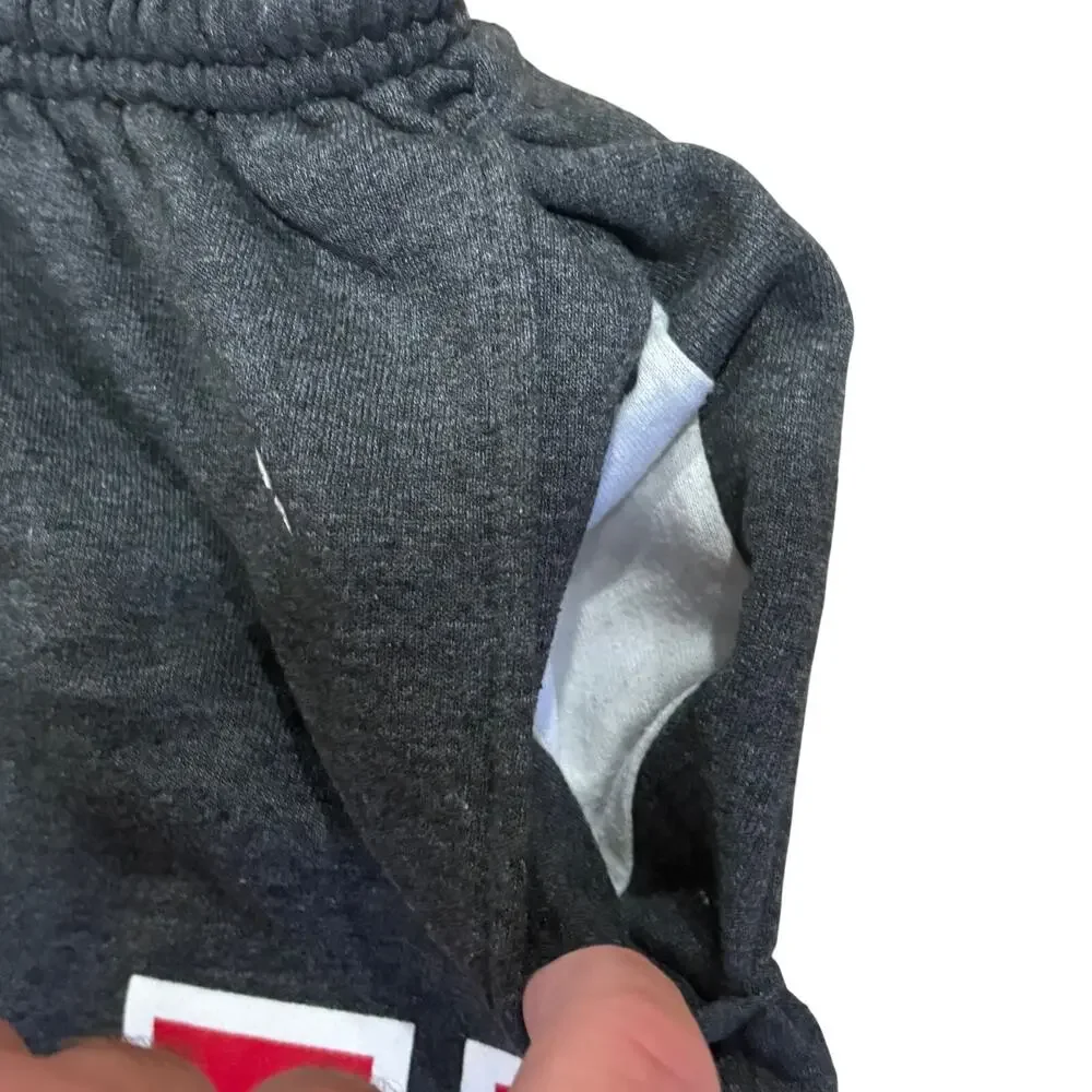 UNLV Champion Heather Gray Sweatpants Joggers Large University‎ Nevada Las Vegas